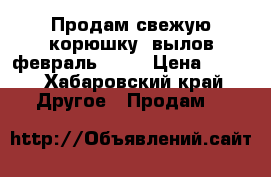 Продам свежую корюшку, вылов февраль 2018 › Цена ­ 250 - Хабаровский край Другое » Продам   